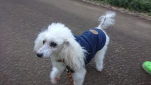 朝のお時間 2019/1/14