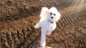 夜のお時間 2019/1/14