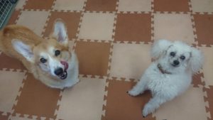 昼のお時間！ 2019/1/16