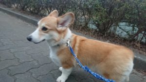 おおー！ 2019/1/16