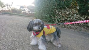 朝のお時間 2019/1/17