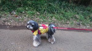 静かな夜 2019/1/17