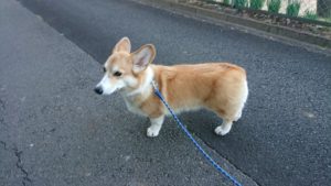 朝のお時間 2019/1/18