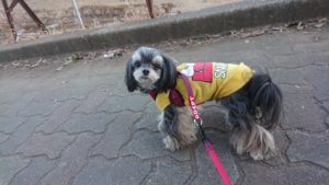 夜のお時間 2019/1/18