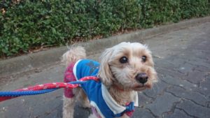 夜のお時間 2019/1/19