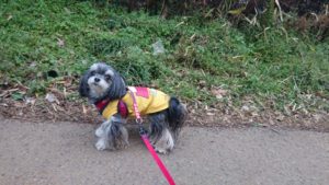 朝のお時間！ 2019/1/20