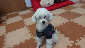 お昼です！ 2019/1/20