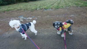 朝のお時間 2019/1/21