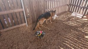 サササッ！！  2019/1/21