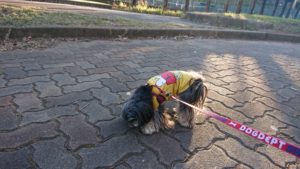 夜のお時間  2019/1/21