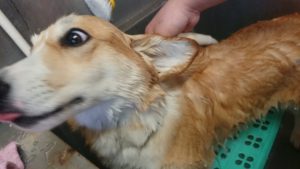 お昼の時間 2019/1/22