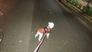 送迎まえ 2019/1/22