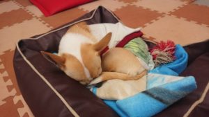 お昼の時間 2019/1/23