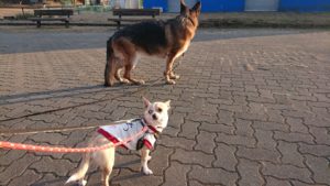 夜のお時間 2019/1/23