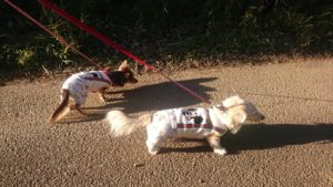 夜のお時間 2019/1/24