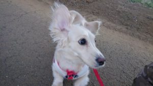 朝のお時間 2019/1/25