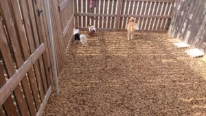 お昼の時間 2019/1/25