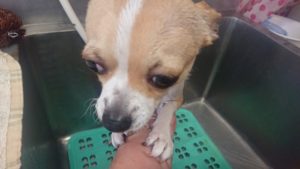 お昼の時間！ 2019/1/26