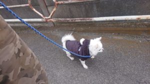 朝のお時間 2019/1/28