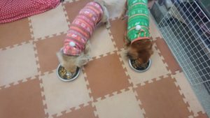 お昼の時間 2019/1/31