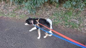 朝のお時間 2019/1/7