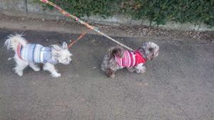 朝のお時間！ 2019/1/8