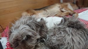 お昼です！ 2019/1/10