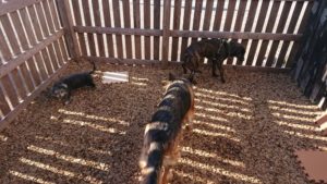 お昼過ぎ！ 2019/1/11