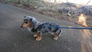 朝のお時間 2019/1/30