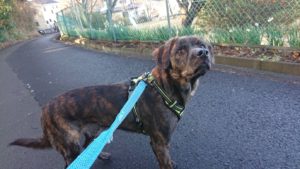 朝のお時間 2019/1/13