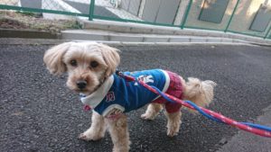 朝のお時間 2019/1/15