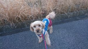 朝のお時間 2019/1/19