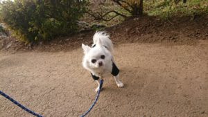 夜のお時間 2019/1/25