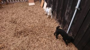 掃除機を 2019/1/6