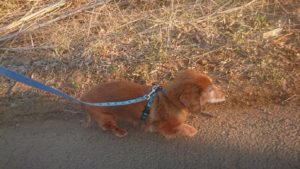 夜の～じかん！ 2019/1/20