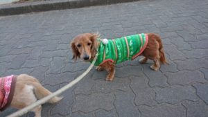 夜のお時間 2019/1/29