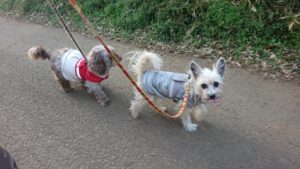 夜の時間 2019/1/5