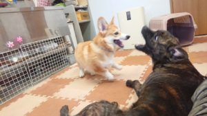 お昼の時間 2019/1/14