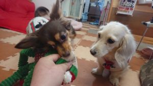 お昼の時間 2019/1/27