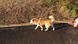 夜のお時間 2019/1/27