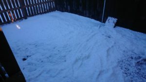 積もったぃ 2019/2/1