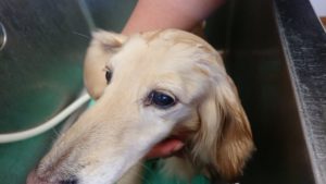 お昼のお時間！ 2019/2/1