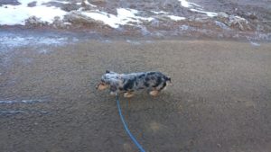 朝のお時間 2019/2/2