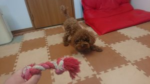 昼のお時間 2019/2/2