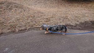 夜のお時間 2019/2/3