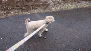 暖かい朝 2019/2/4