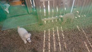 お昼過ぎのお時間 2019/2/4