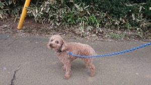 朝のお時間 2019/2/5