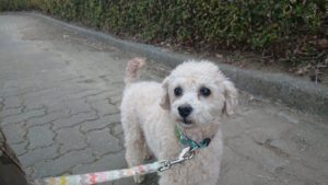 夜のお時間 2019/2/5