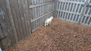 朝のお時間 2019/2/6